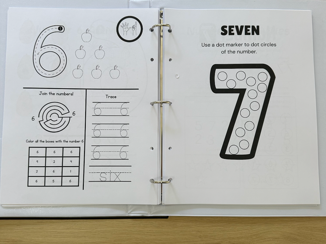 Counting & Numbers Activity Workbook