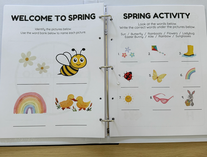 Shapes, Seasons & Months Activity Workbook